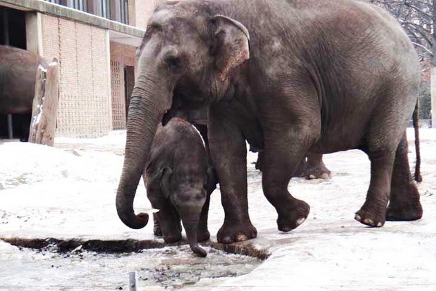 Мы все тоже берлинцы...