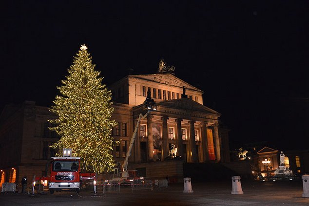 Рождественское волшебство начинается...