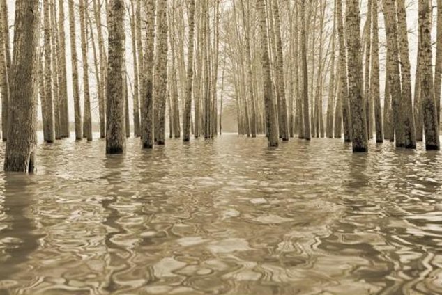 «Дух места» Юргиса Занаревского