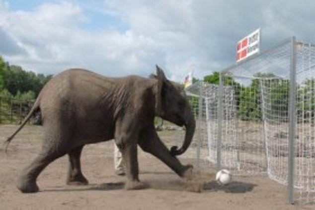 Германия выйдет в плей-офф ЧМ-2014