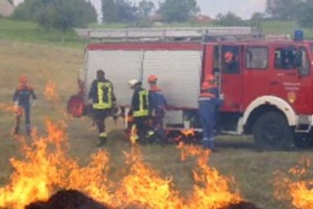 Пожарные – рекордсмены