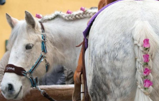 Берхинг: лошадиный рынок