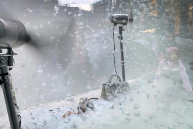 Пух и перья В Дюссельдорфе