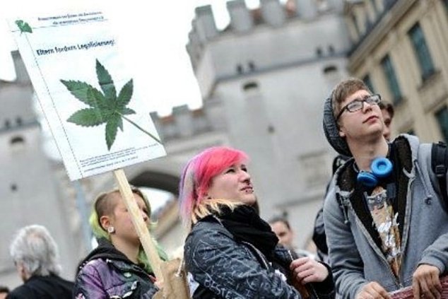 Зеленые и консерваторы планируют заработать на «травке»