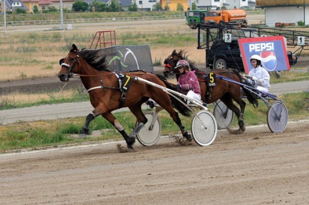 DRF-2015 Berlin: лошадиные бега на ипподроме Карлсхорст