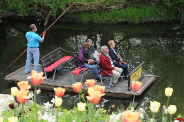 BUGA 2015: витаминно-цветочный рай