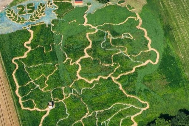 На поле в Баварии появился лик Ангелы Меркель