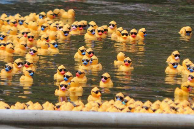 Утиный забег на фестивале воды в Лейпциге