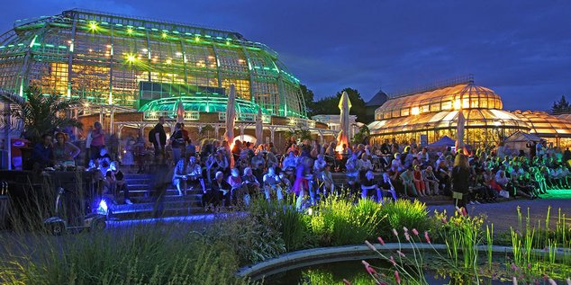 ВИДЕО репортаж: Botanische Nacht 2017