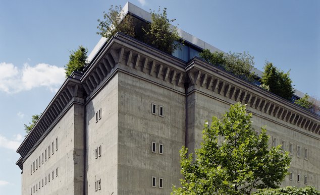 Банановое бомбоубежище