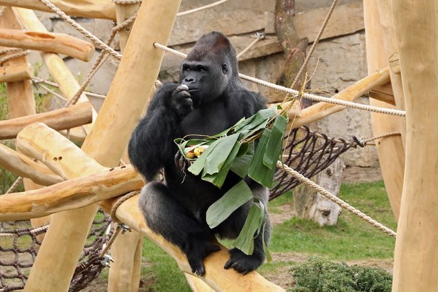 Пришла пора прощаться