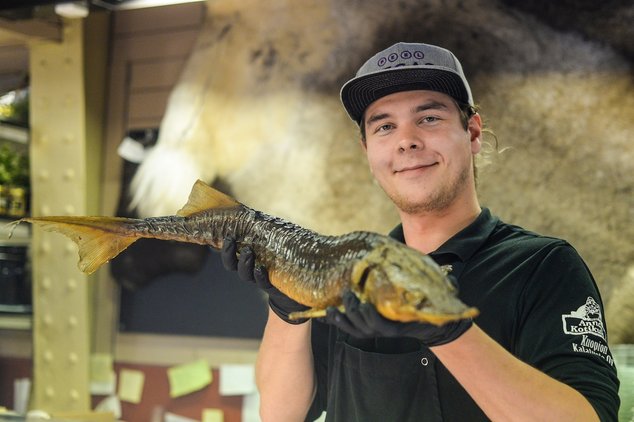 «Зелёная неделя 2019»: форум реальных производителей или «ярмарка тщеславия»