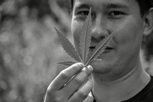 «Mary Jane Berlin». Ох, уж эта конопля!