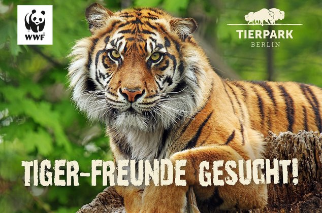 Благородное сотрудничество в защиту животных