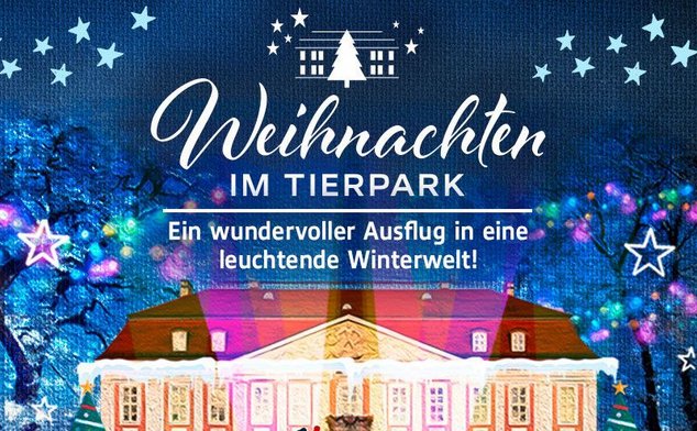 Встреча Рождества и Нового года 2020 в берлинском зоопарке