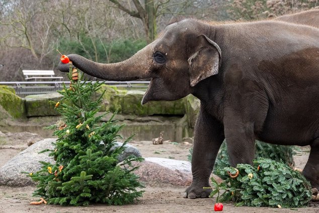 Витамины всегда полезны. Особенно в зимний период