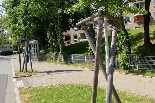 В ЭССЕНЕ ПОЯВИЛОСЬ БОЛЕЕ 600 НОВЫХ ДЕРЕВЬЕВ!