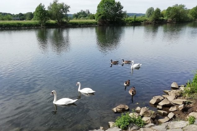 Земля Северный Рейн-Вестфалия (NRW): самые длинные реки