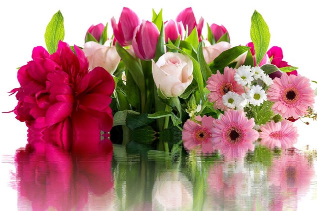 С Международным женским днем – 8 марта!