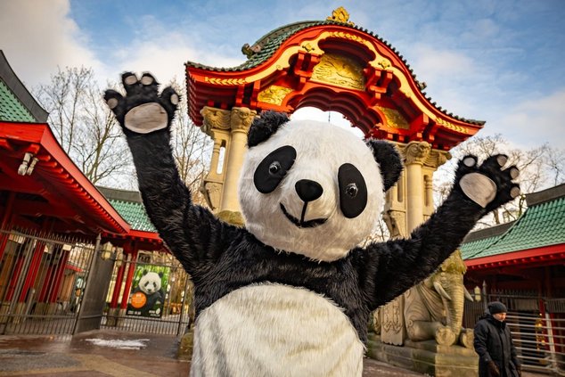 Панды Пит и Пауль – «берлинцы» отныне и навсегда